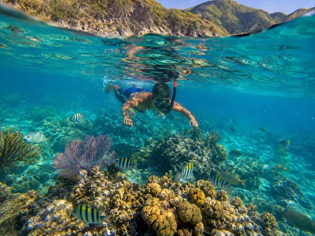 Snorkel en el Parque Tayrona, Santa Marta
